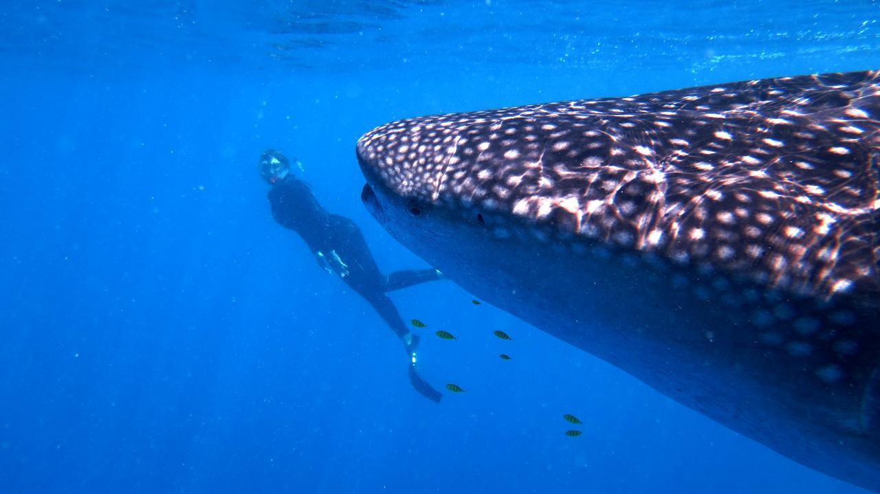 Sakatia Lodge Ampasimena Экстерьер фото